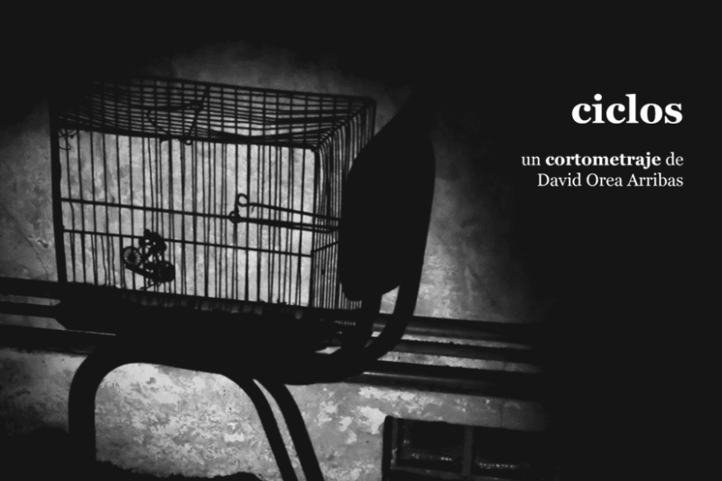 Ciclos